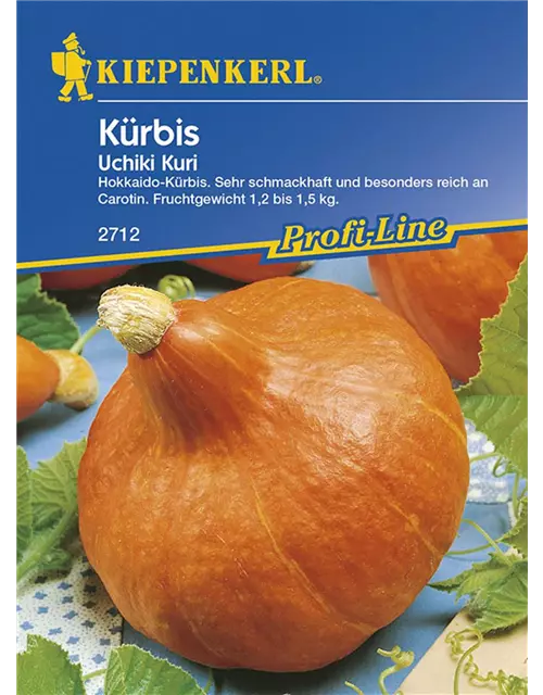 Kürbis Uchiki Kuri