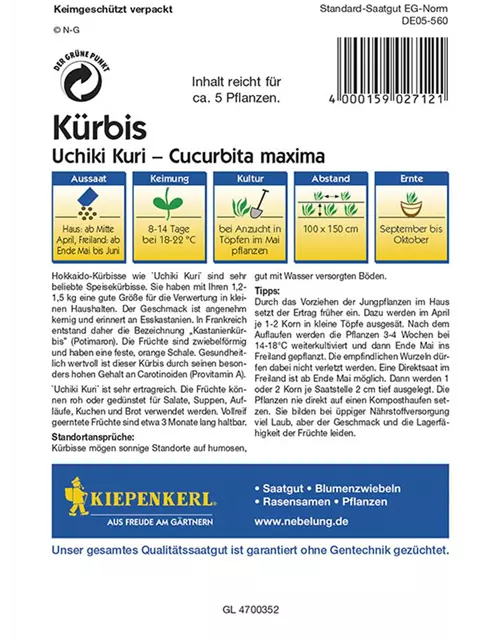 Kürbis Uchiki Kuri