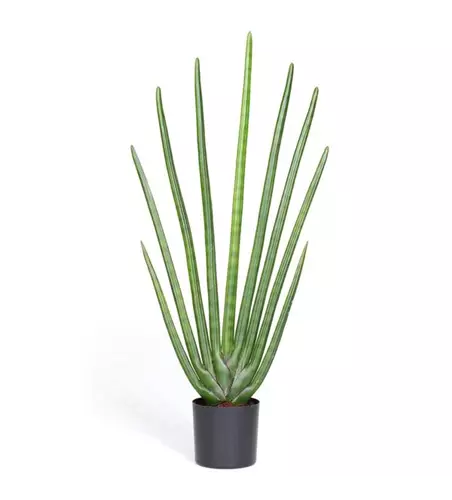 fleur ami SANSEVIERIA CYLINDRICA Kunstpflanze