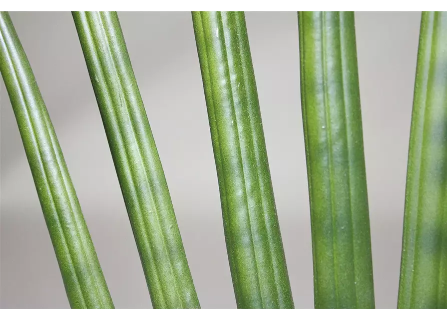 fleur ami SANSEVIERIA CYLINDRICA Kunstpflanze