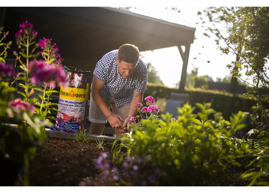 Floragard Aktiv Pflanzenerde für Balkon und Geranien