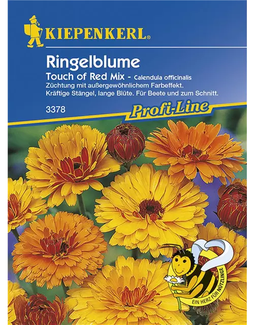 Ringelblume Calendula 'Touch Of Red'