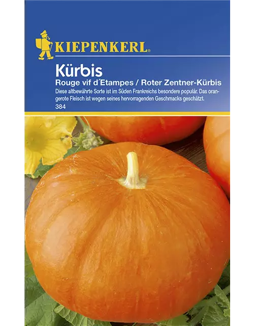 Kürbis Rouge V.D'Etampes