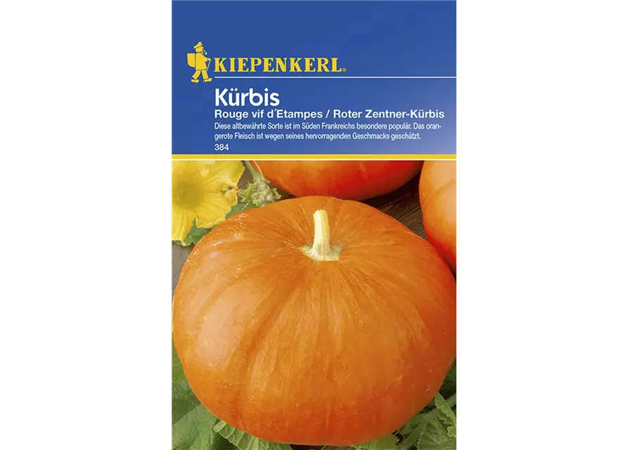 Kürbis Rouge V.D'Etampes