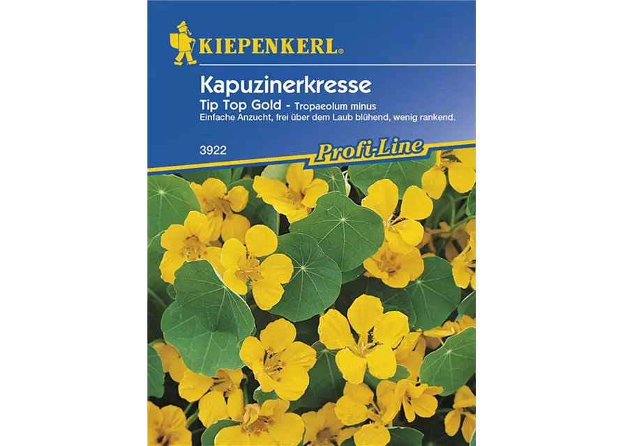 Tropaeolum Tip Top Gold