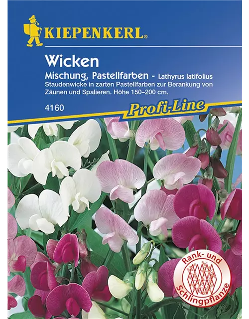 Lathyrus latifolius Mix