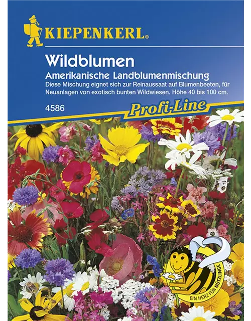 Wildbl. am.Landblumenmix