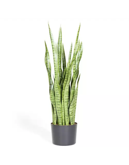 fleur ami SANSEVIERIA EXTRA Kunstpflanze