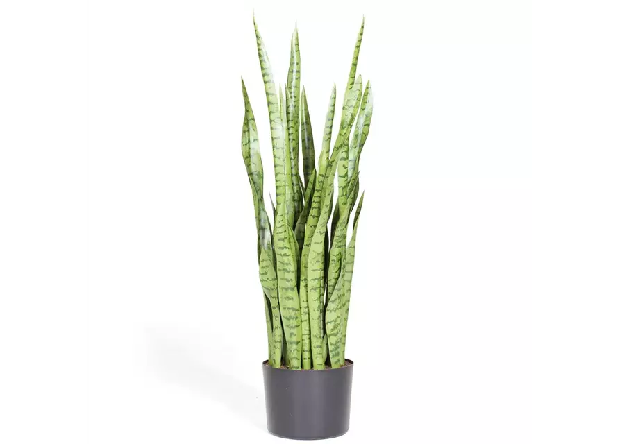 fleur ami SANSEVIERIA EXTRA Kunstpflanze