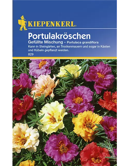 Portulakröschen