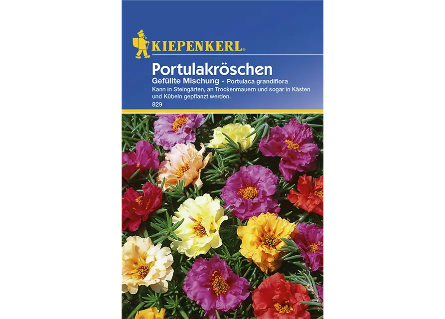 Portulakröschen