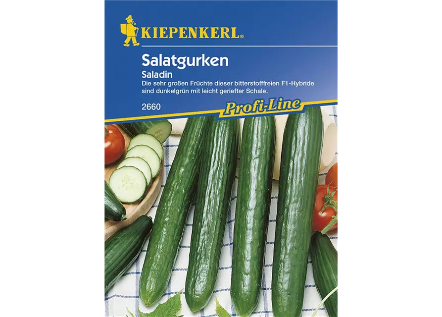 Gurken Saladin