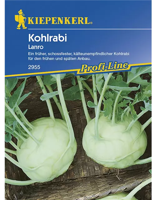 Kohlrabi Lanro Weiß