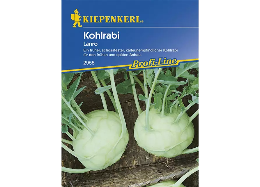 Kohlrabi Lanro Weiß