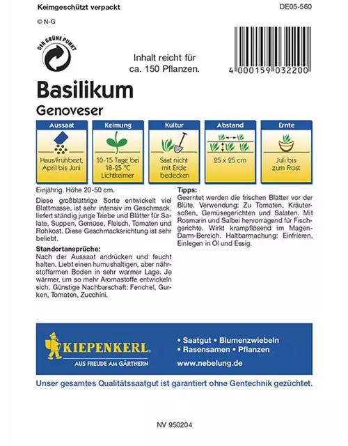 Basilikum Breitblättrig