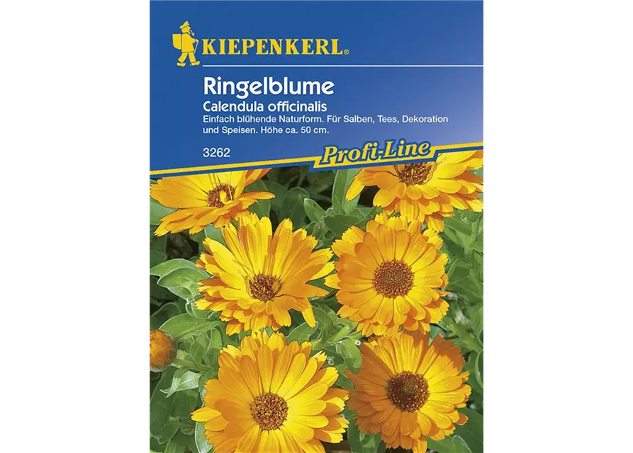 Kräuter Ringelblumen