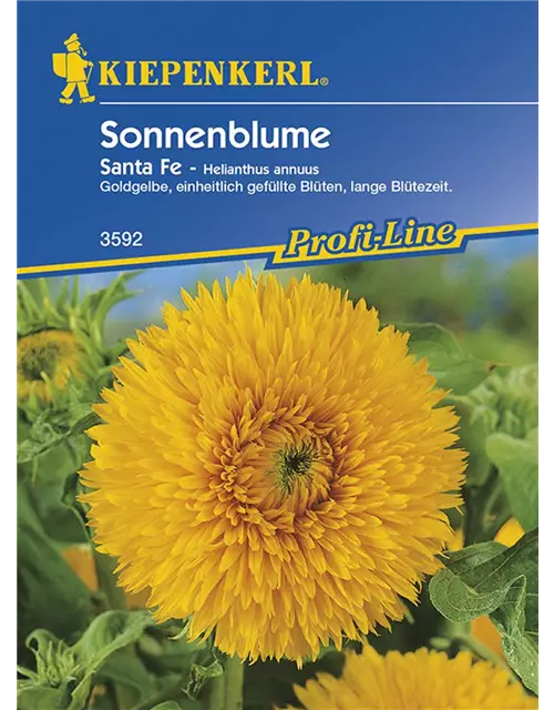 Helianthus Santa Fe