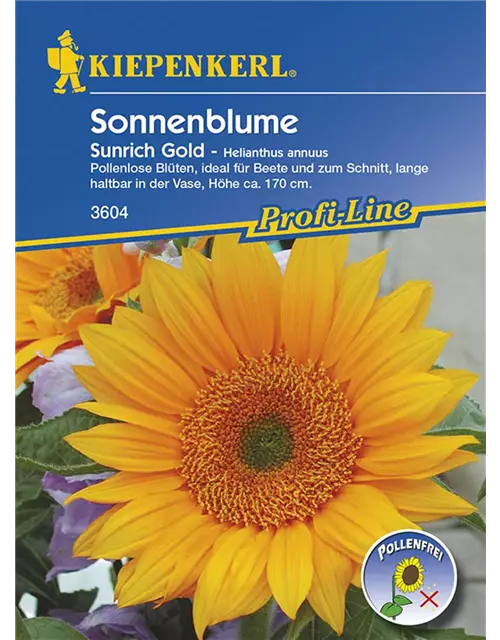 Helianthus Sunrich Gold