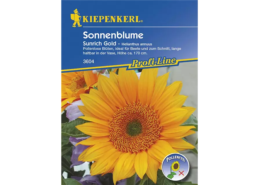 Helianthus Sunrich Gold