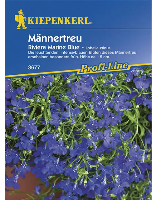 Lobelia Riv. Marine Blue