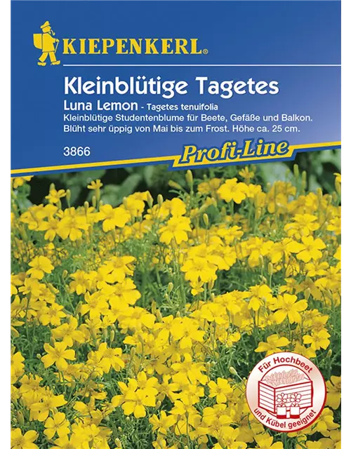 Tagetes t. Luna Lemon