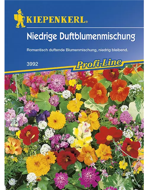 Duftblumen Steingarten