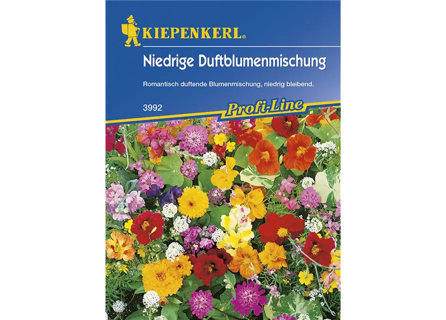 Duftblumen Steingarten