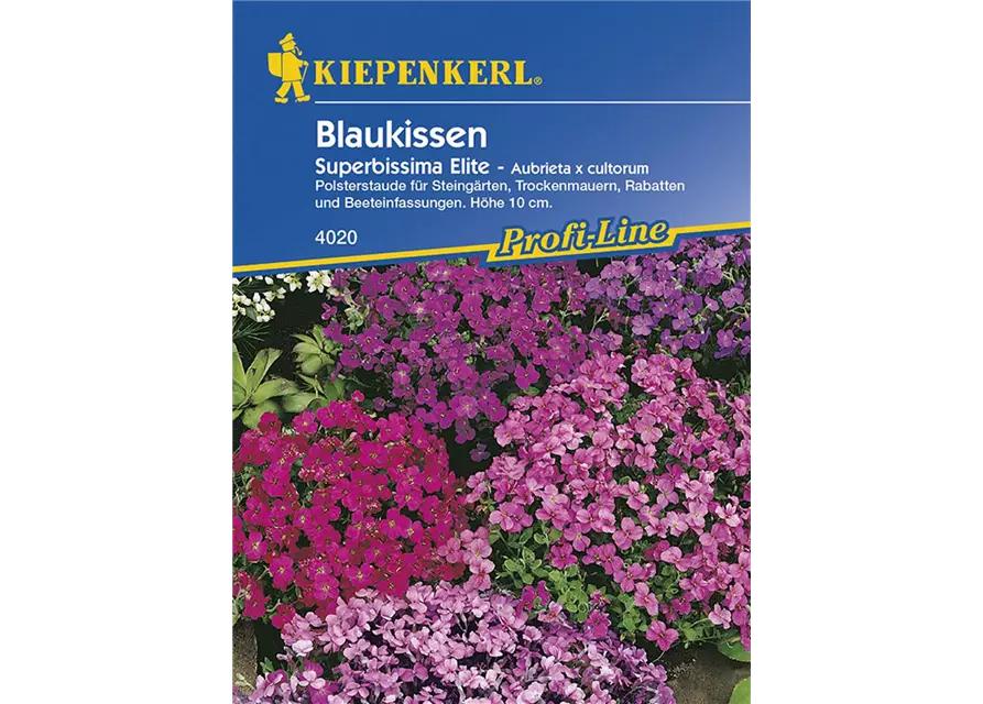 Blaukissen Superbissima Elite