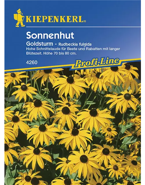 Rudbeckia f. Goldsturm