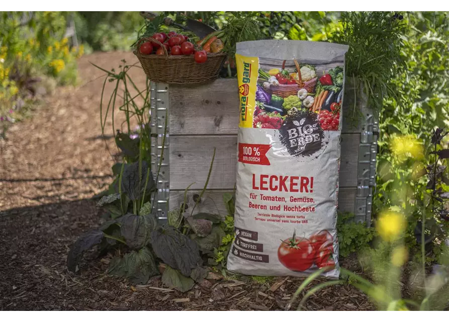 Floragard Bio-Erde Lecker