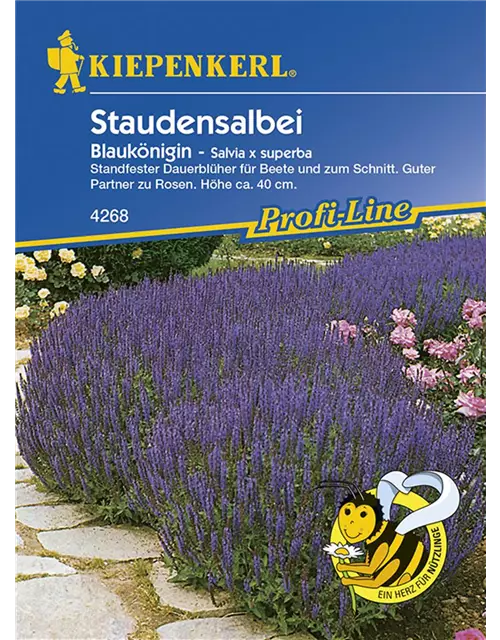 Salvia x s. Blaukönigin