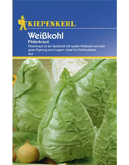 Weißkohl Filderkraut