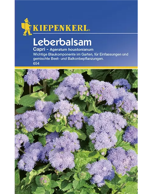 Ageratum Capri