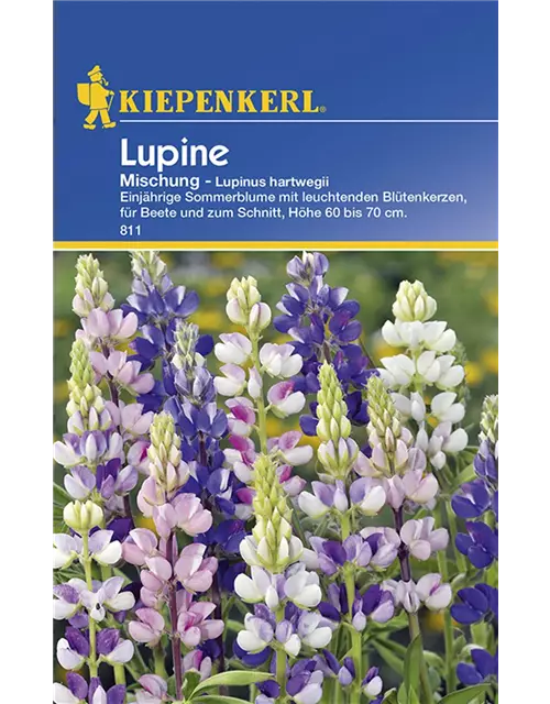 Lupinus Einjähr.Mischung