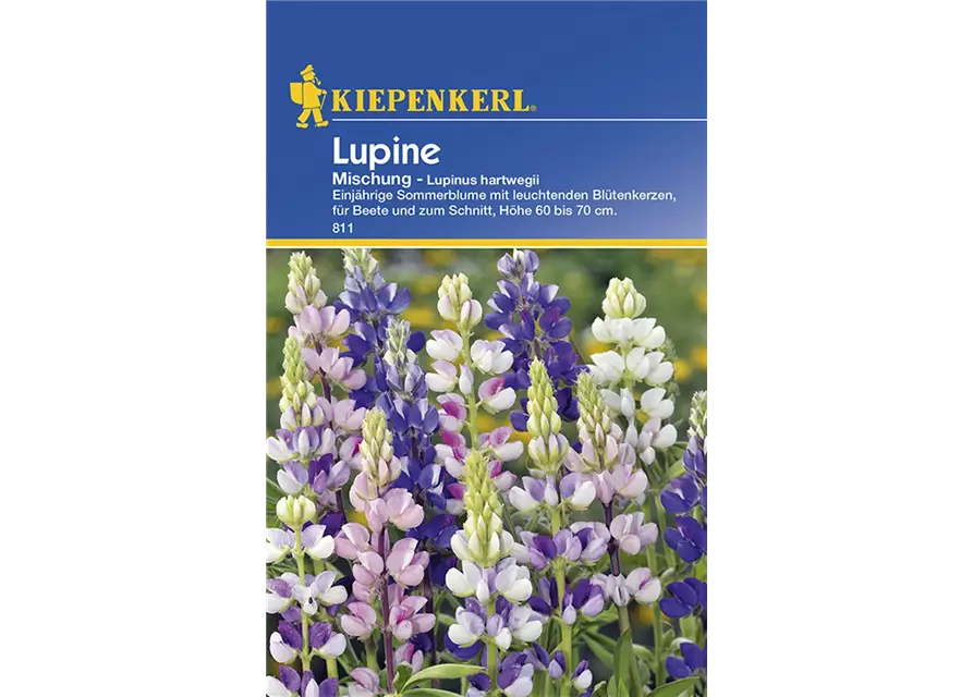 Lupinus Einjähr.Mischung