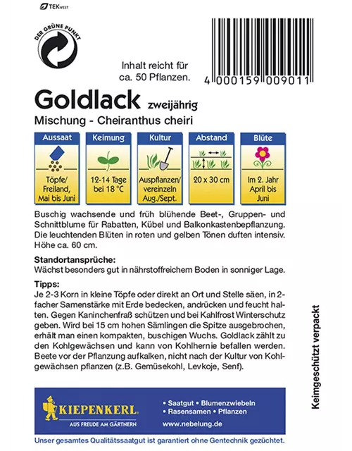 Cheiranthus Goldlack Mix