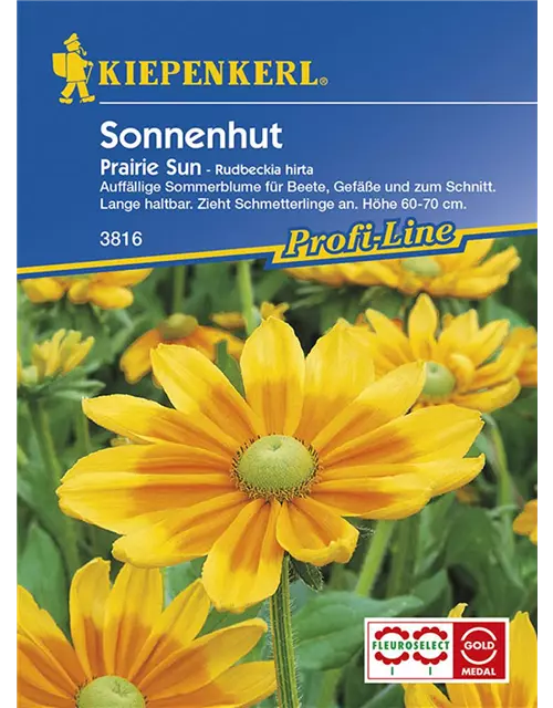 Rudbeckia Prairie Sun