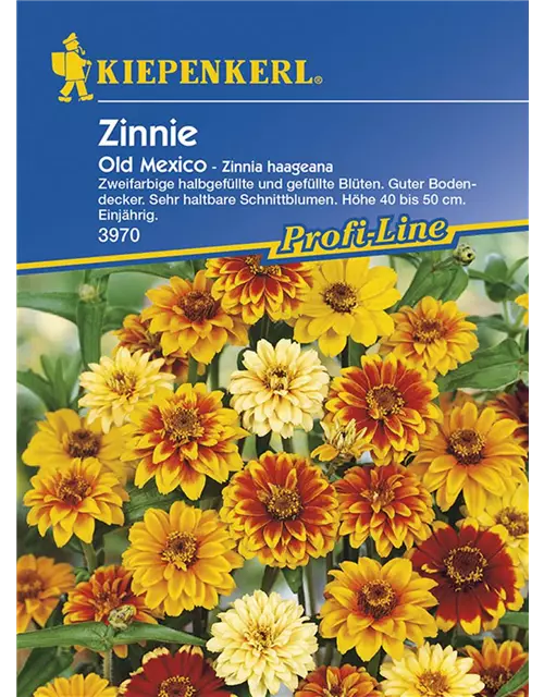 Zinnia Old Mexiko