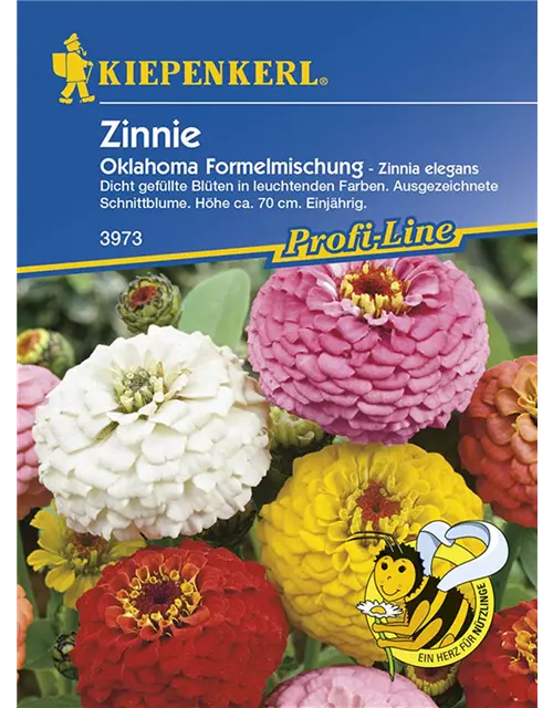 Zinnia Oklahoma Mix