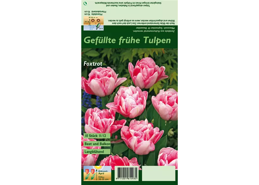 Gefüllte Tulpe 'Foxtrot'