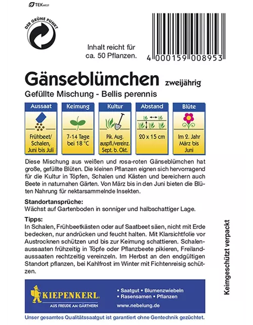 Bellis Perennis Mischung