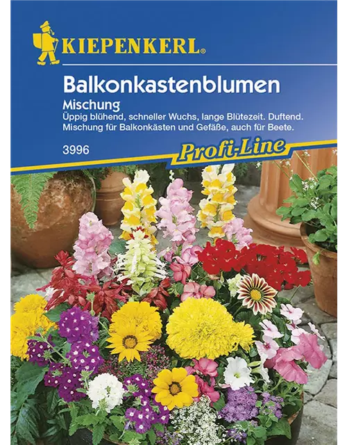 Balkonkastenblumen-Mix