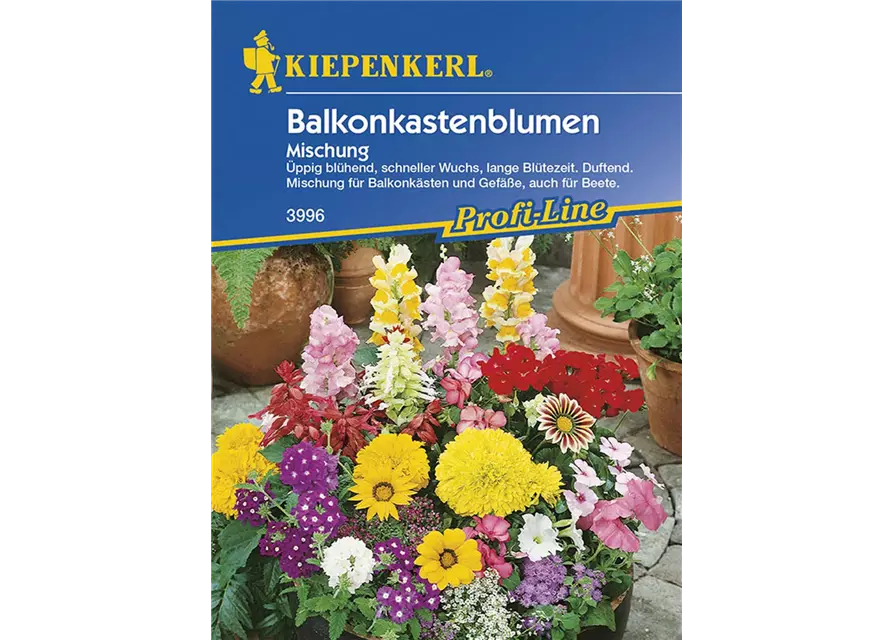 Balkonkastenblumen-Mix