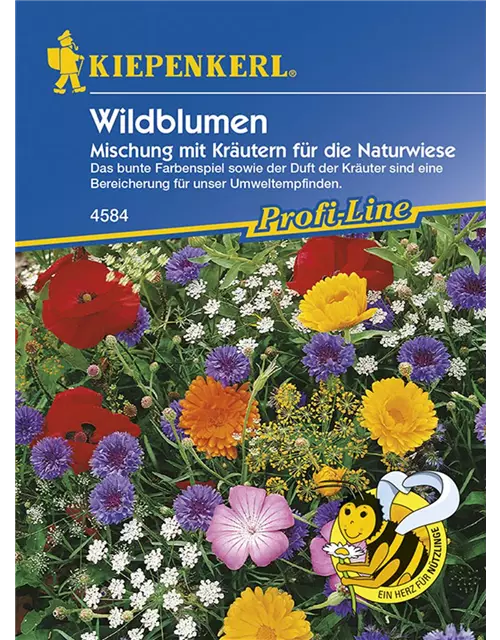 Wildblumen und Kräuter Mix.