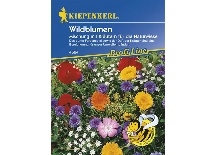 Wildblumen und Kräuter Mix.