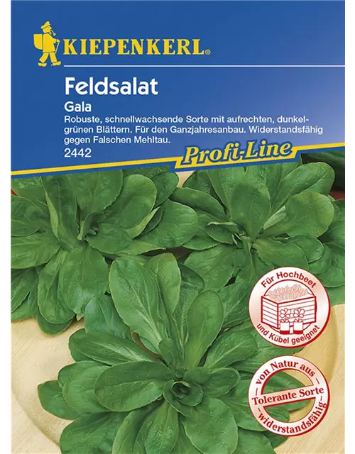 Feldsalat Gala