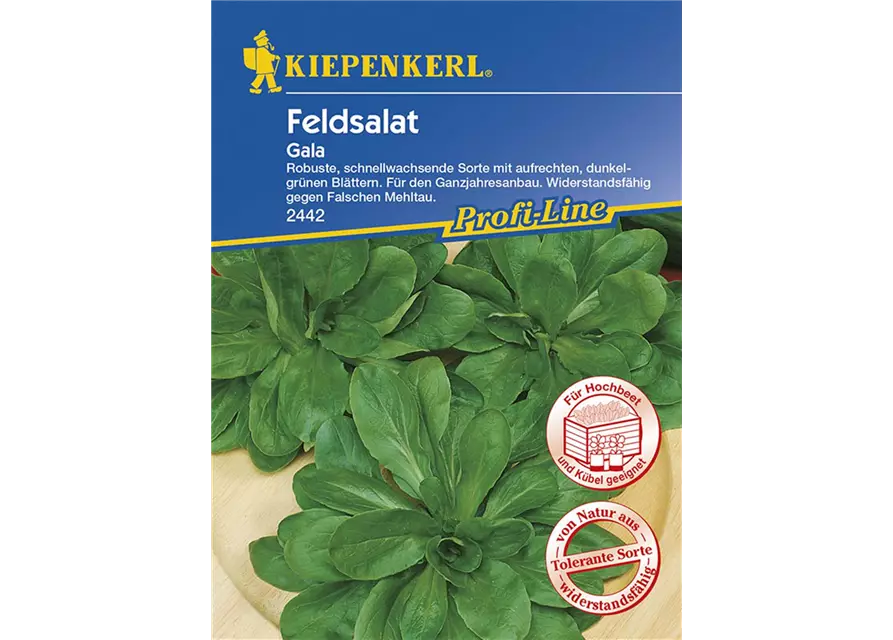 Feldsalat Gala