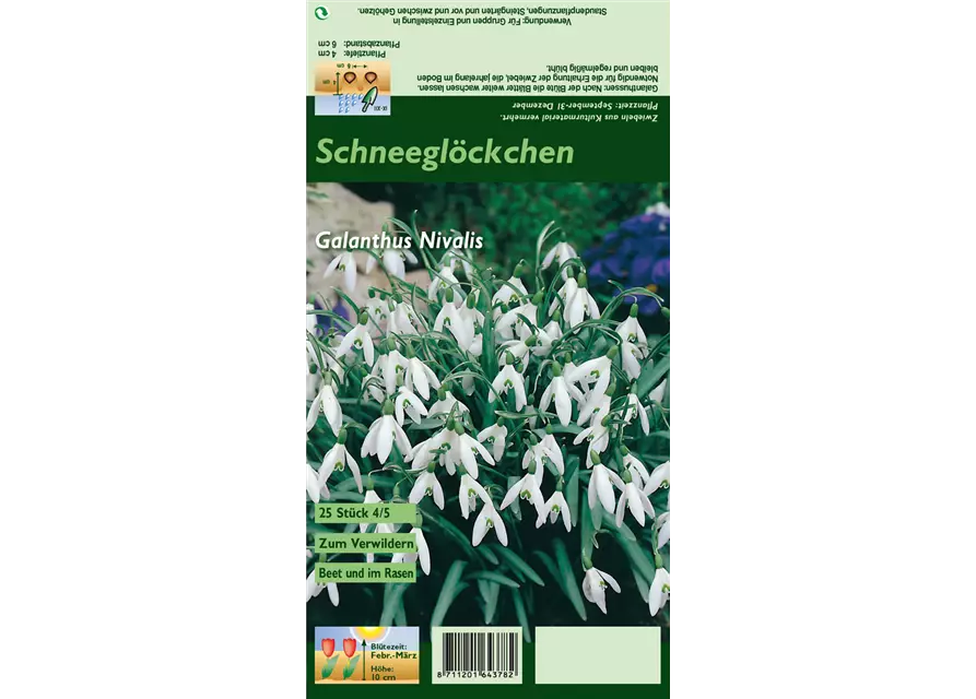 Kleines Schneeglöckchen