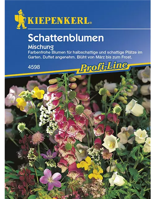 Schattenblumen-Mischung