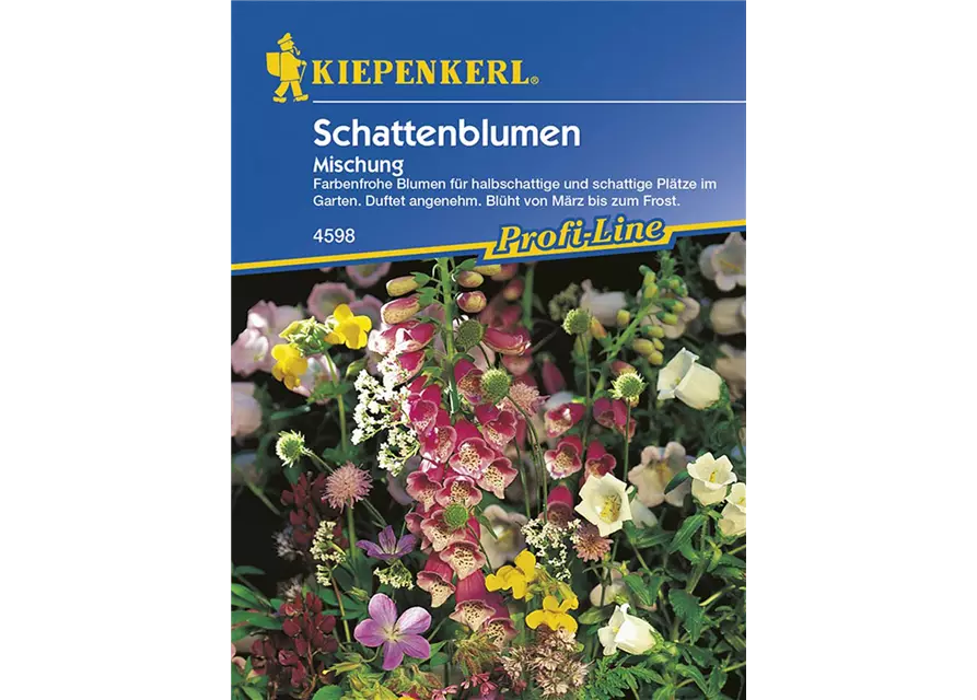 Schattenblumen-Mischung